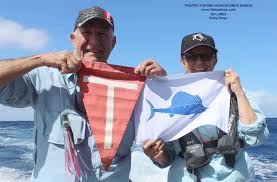 Eight Aussies from...