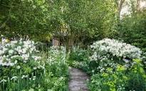 Beautiful gardens, top plants & expert tips | The English Garden