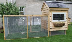 We did not find results for: Backyard Chickens In The Chicago Suburbs