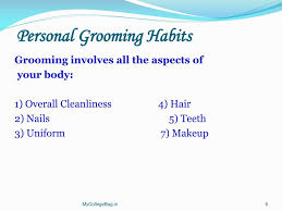 Ppt Attire For Profesional Success Personal Grooming Powerpoint Presentation Id 1486502