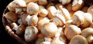 Pilze länger haltbar machen ist für viele pilzsorten wie pfifferlinge, steinpilze, maronen oder champignons eine gute idee. Champignons Lagern So Bleiben Sie Langer Frisch Utopia De