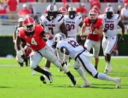 Georgia Bulldogs Could Have Tailback Overflow In 2014