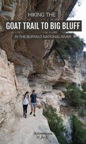 Maybe you would like to learn more about one of these? Debbie Frazier Iamthunderfan35 Profile Pinterest