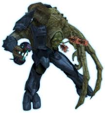 The flood is a military science fiction novel by william c. Flood Elite Combat Form Halo Flood Halo Horror