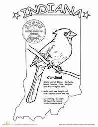 Birds Native To Indiana Indiana State Bird Worksheet Education Com Indiana State State Birds States Project