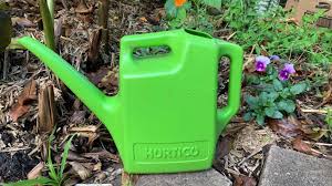 Generally it should be composted beforehand. How To Use Chicken Manure On Citrus Trees Easy Guide Eco Family Life