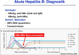 Dalam mendiagnosis hepatitis b, awalnya dokter akan menanyakan gejala dan memeriksa tanda kerusakan hati, seperti kulit dan mata yang berwarna kuning atau nyeri perut. Relevanz Von Virusvarianten Fur Diagnostik Therapie Und Krankheitsverlauf Am Beispiel Der Hepatitis B Pdf Free Download