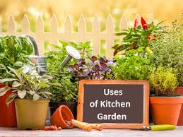 5 secret health benefits of gardening. Importance Advantages Of Kitchen Garden In Urban Areas