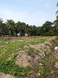 Tanah untuk di jual di muar johor. Tanah Kosong Bukit Tembakau Iklan Tanah Melaka