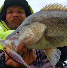 What's everyone's thoughts