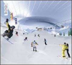 Un progetto da record, rimandato per anni e ora vicino a diventare realtà. Costruita Una Pista Da Sci In Pieno Deserto