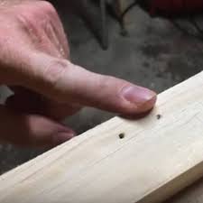 Nail hq products ridge filler. Shop Hack Patching Holes Without Wood Filler Lazy Guy Diy