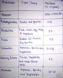 prepare a diet chart to provide balance diet to a 12 year