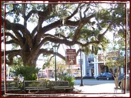 Petersburg, florida with newhomesource, the expert in brooksville new searching for a new home community? 200 A Look Back At Brooksville Ideas In 2021 Brooksville Florida Hernando County