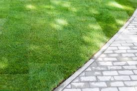 Should i water the new sod? How Long Does It Take For Sod To Take Root Country Green Turf Farms