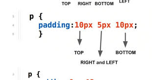 Css Padding Shorthand Property Examples Http Www Siteraw Com Web Design Quotes Css Tutorial Web Development Programming