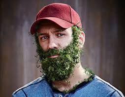 WEED BEARDS :: Behance