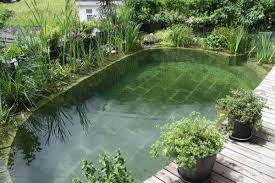 Natural Swimming Pools Natural Swimming Pools Natural Pond Backyard Pool