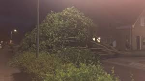 Gevoelstemperatuur neerslagkans neerslag daglicht uren luchtvochtigheid windsnelheid maanfase druk. Tropische Bui Snel Voorbij Tientallen Meldingen 1limburg Nieuws En Sport Uit Limburg