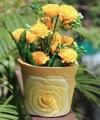 Maybe you would like to learn more about one of these? Wonderland Extremely Beautiful 4 5 Inches Flower Pots Planter Planters Stationery Holder Pen Stand With Beautiful Yellow Floral Design For Gifting Table Decor Home Garden Decoration Amazon In Garden Outdoors