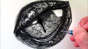 One of the best dragon drawings i've seen, keep it up. How To Draw A Dragon Eye Youtube