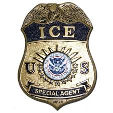 Dhs Agents Ice Department Of Homeland Security Replica Wooden Badge Plaques Badge Homeland Security Police Badge