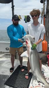 Apex Shark charter fishing