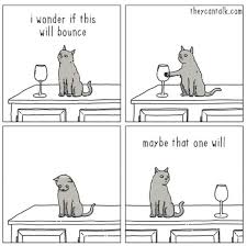 What Cats Think When They Knock Things Off Cat Memes Cat Comics Funny Pictures