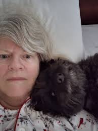 Small Treasures Cairn Terriers