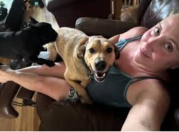 All kitties pictured are available and looking for their forever homes! 😻  We will also be having Our first ever fundraiser this month! Right here in  millbury at ravioli's