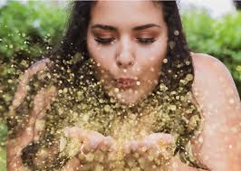 Kimberley Ann Photography (@pixkalphotography) • Facebook