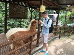 2 minuten von kl tower mini zoo entfernt. Kl Tower Mini Zoo Promo Tiket Masuk Wisata Malaysia