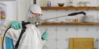 Commercial Pest Control Services: Safeguard Your Workplace