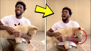 20.1 ppg 6.7 rpg 52.5 fg% 46.1 3p% 82.1 ft% he and paul george are the only players averaging 20p/5r on 50/45% shooting this season. Joel Embiid Gets Bitten By A Lion In Africa Youtube