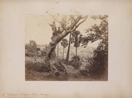 A Sketch From Mazagon Hill, Bombay - Europe, Asia, and Australia - Photographs, Manuscripts, and Imprints - SMU Digital Collections
