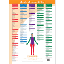 Trigger Point Charts 5 Chart Set Trigger Points Chart