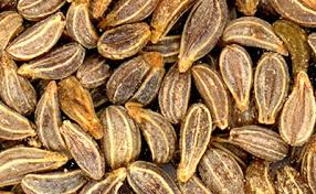 Parsley Seed Oil