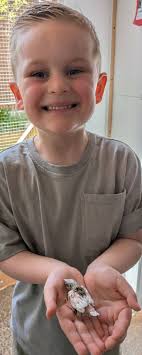 The boy helping out, somehow claimed the red headed finches he has 😁