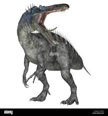 Image result for Suchomimus