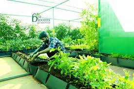 Organic Roof Top Garden Modttai Maadi Thottam By Bio Blooms Rooftop Garden Terraced Vegetable Garden Garden Ideas India