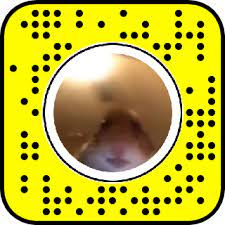 Hamster Staring Meme Snapchat Lens Filter Hamster Meme Lens Filters Snapchat Snapchat Camera