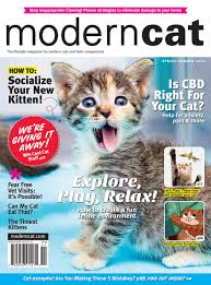 Is it possible to ever truly tame a feral cat? Modern Cat Spring Summer 2020 By Modern Cat Magazine Issuu