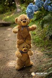Https Www Facebook Com Travelling Teddy Photography Photos A 1629724343914453 1073741828 162971614 Teddy Bear Wallpaper Teddy Bear Pictures Teddy Bear Images