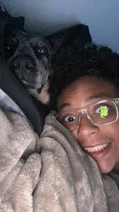 Missing dog Mojo, last seen 7 months ago