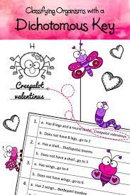 Valentine S Day Science Activity Classifying Organisms With A Dichotomous Key Dichotomous Key Free Science Worksheets Middle School Lesson Plans