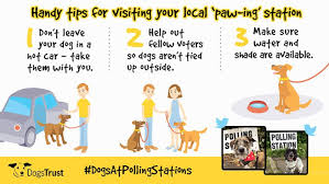 I am a small personally owned/operated horse farm in shelbyville, tennessee, the heart of tennessee walking horse country. Dogs Trust On Twitter If You Have Local Elections Near You Today We Have Some Top Tips For Taking Your Pooches With You Don T Leave Your Dog In The Car