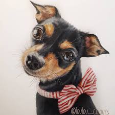 332 Gostos 42 Comentarios Luisa Marques Loulou Colours No Instagram Happy Mother S Day Pres In 2020 Miniature Pinscher Dog Miniature Pinscher Food Animals