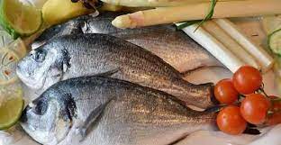 Some types of seafood and fish, including scallops, sardines, herring, anchovies, haddock, cod, and mackerel, may be better left off the menu altogether. Types Of Fish With Their Name Picture And Flavor Best Guide