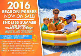 Amusement Waterpark Season Pass Water Park Indoor Waterpark Ski Lift Tickets