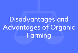 15 Disadvantages And Advantages Of Organic Farming Brandongaille Com